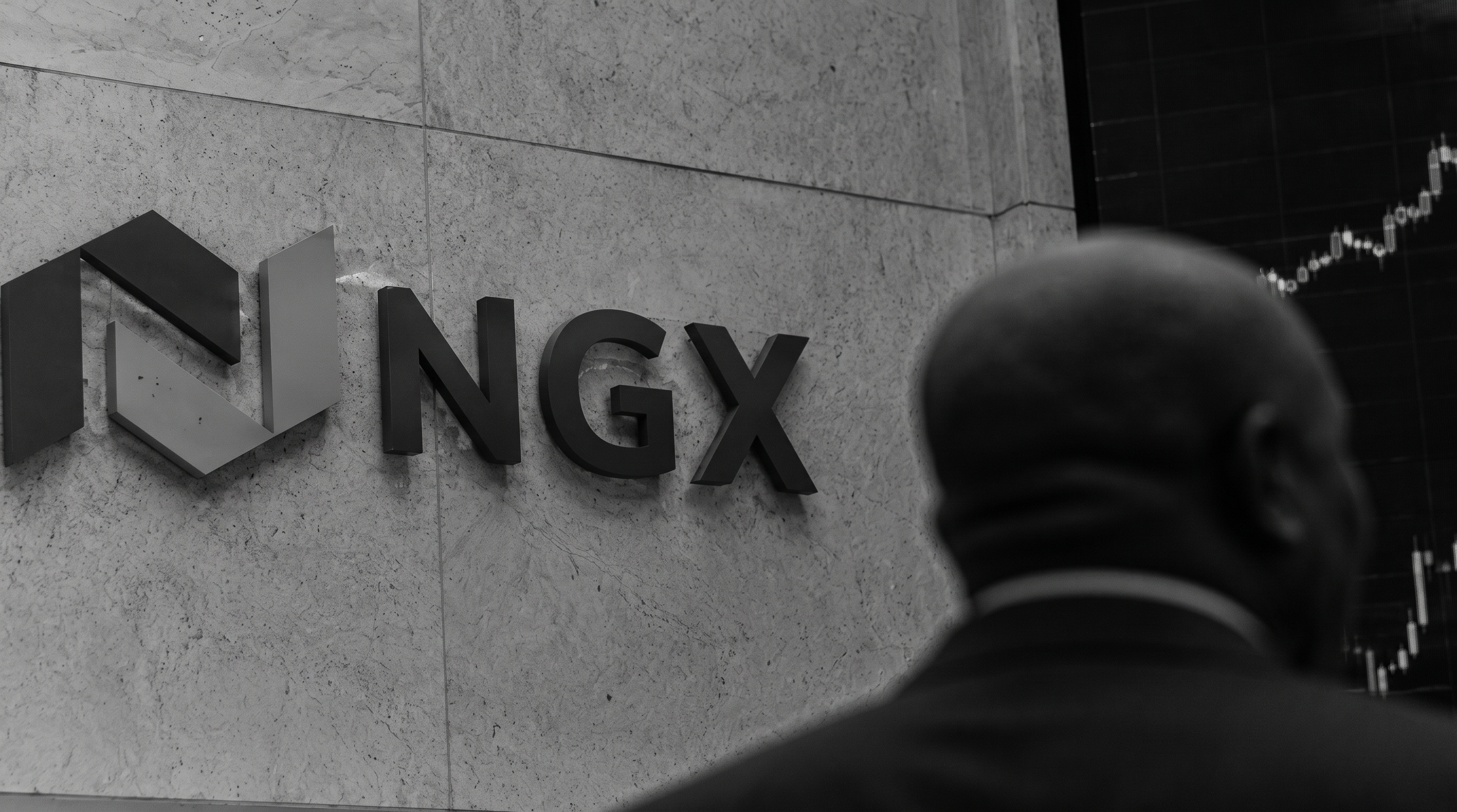 Nigeria Stock Market Today Live: Indices, Market Cap & Trading Analysis
